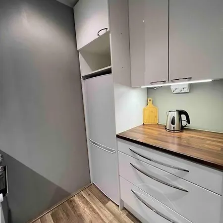 Cozy 1bdr W Wi-fi 아파트 로바니에미
