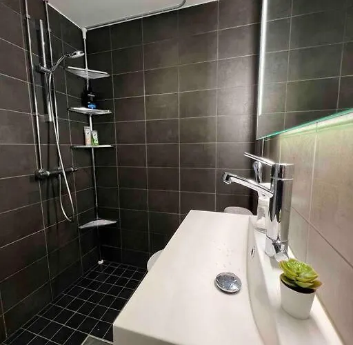 Apartment Cozy 1bdr W Wi-fi